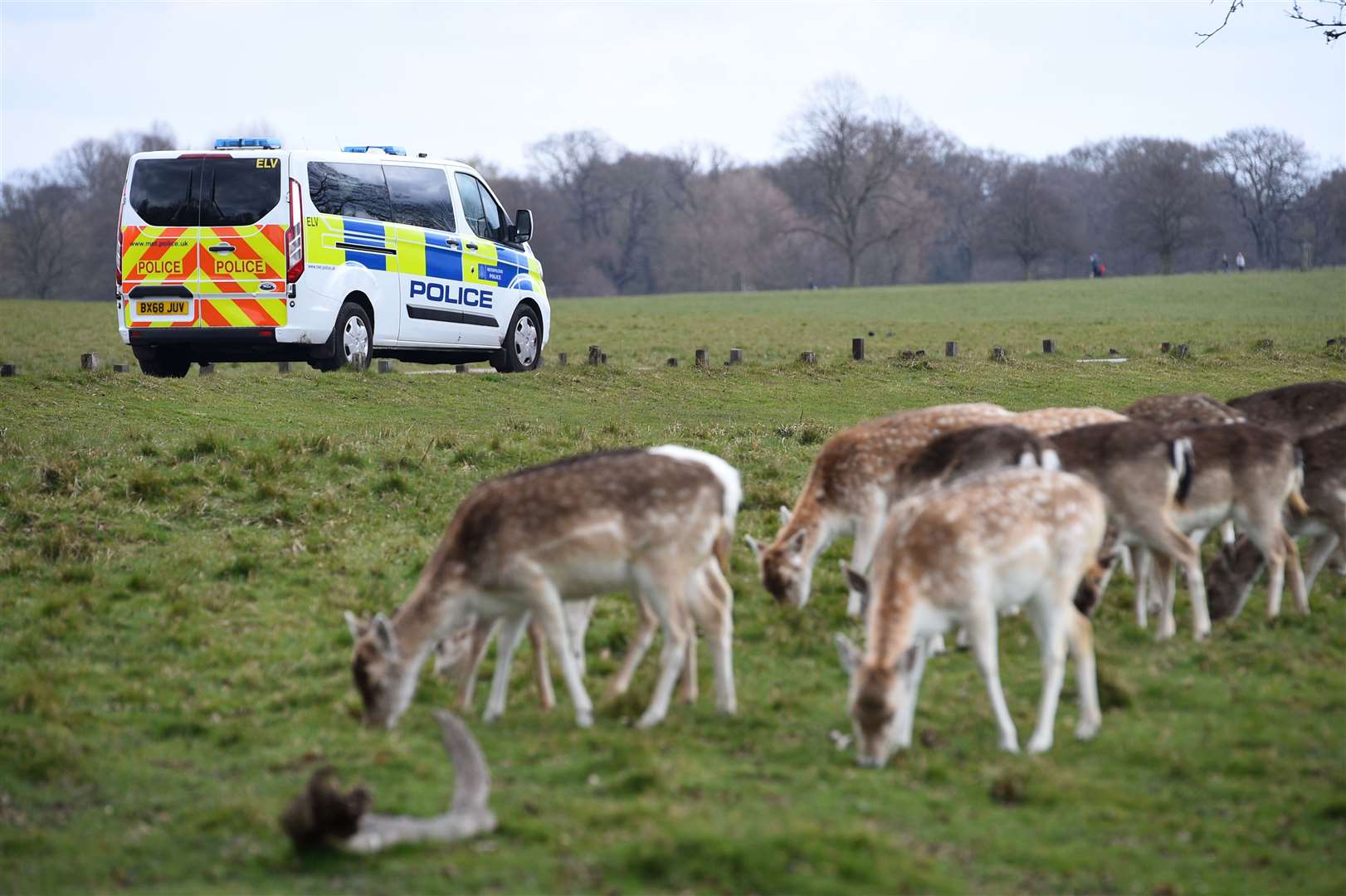 Richmond Council expressed deep disappointment over the decision to cut the Royal Parks Police (Kirsty O’Connor/PA)