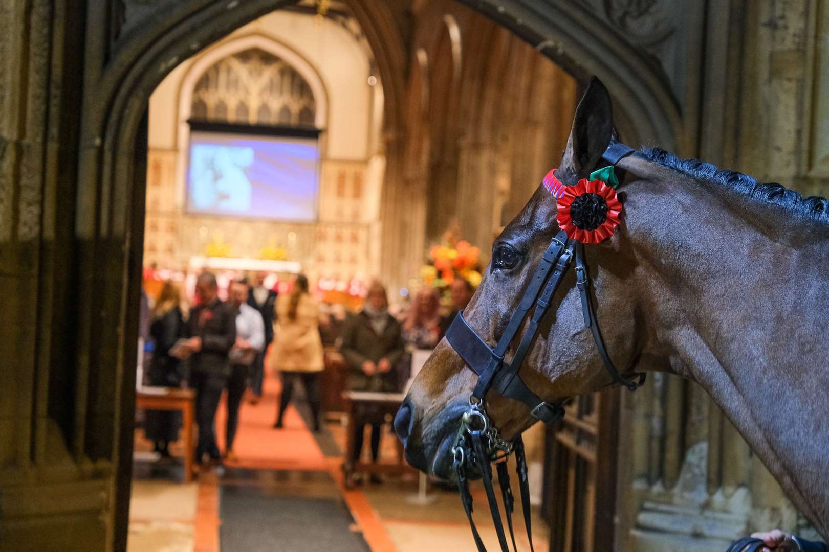 The Queen's retired racehorse Barber Shop greeted people who attended the service of thanksgiving for the late monarch