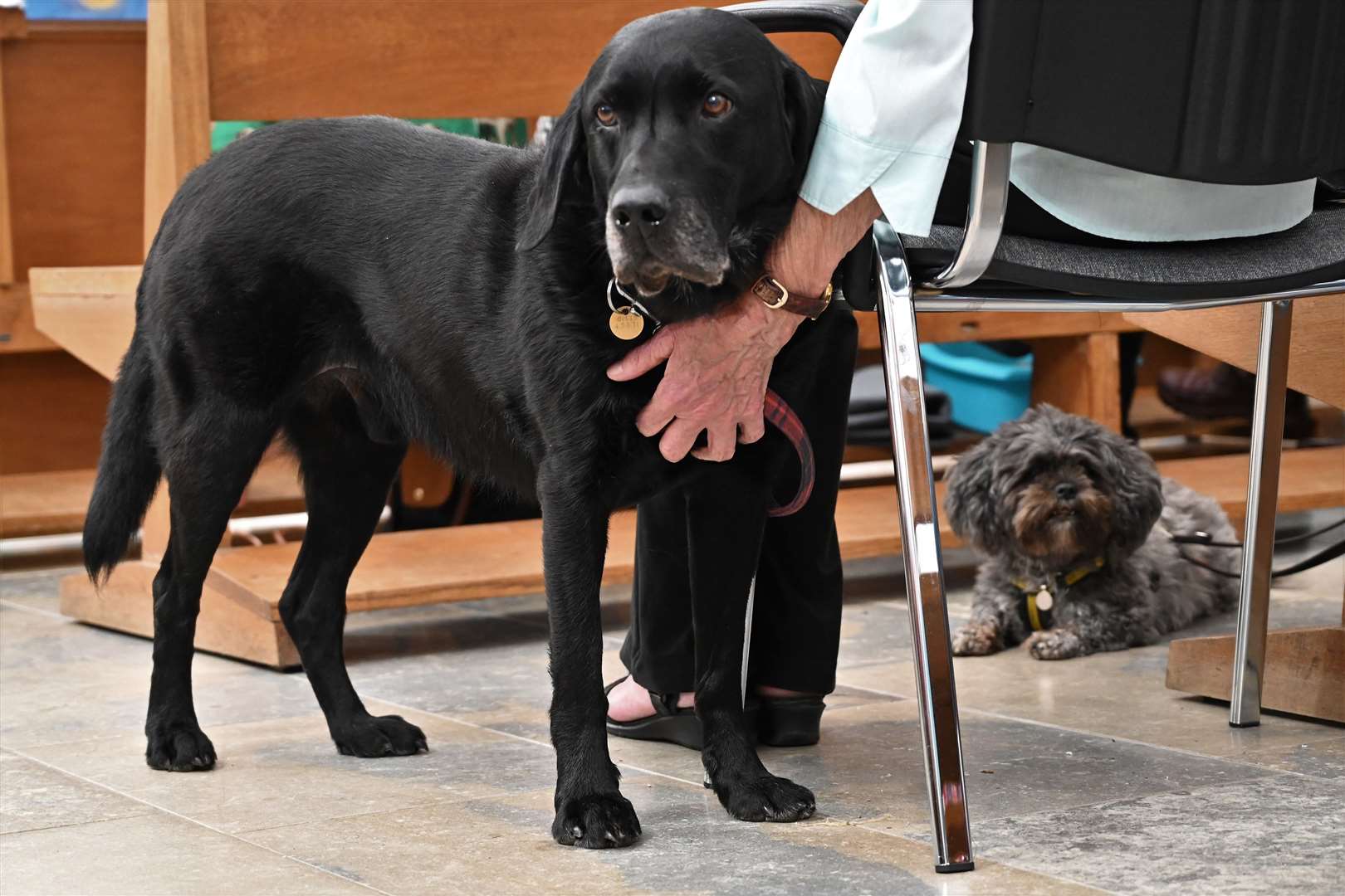 Pet service at St George's Church in Wash Common.