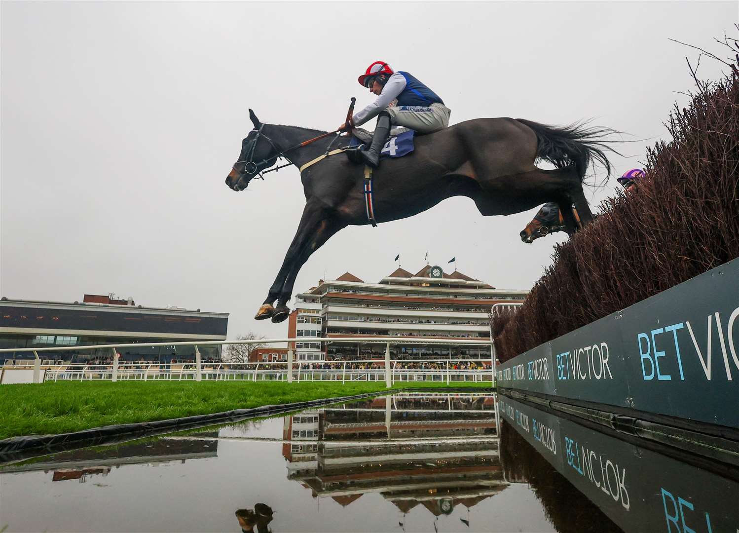 BetVictor's Weekend Winners Novices' Limited Handicap Chase - Bowtogreatness