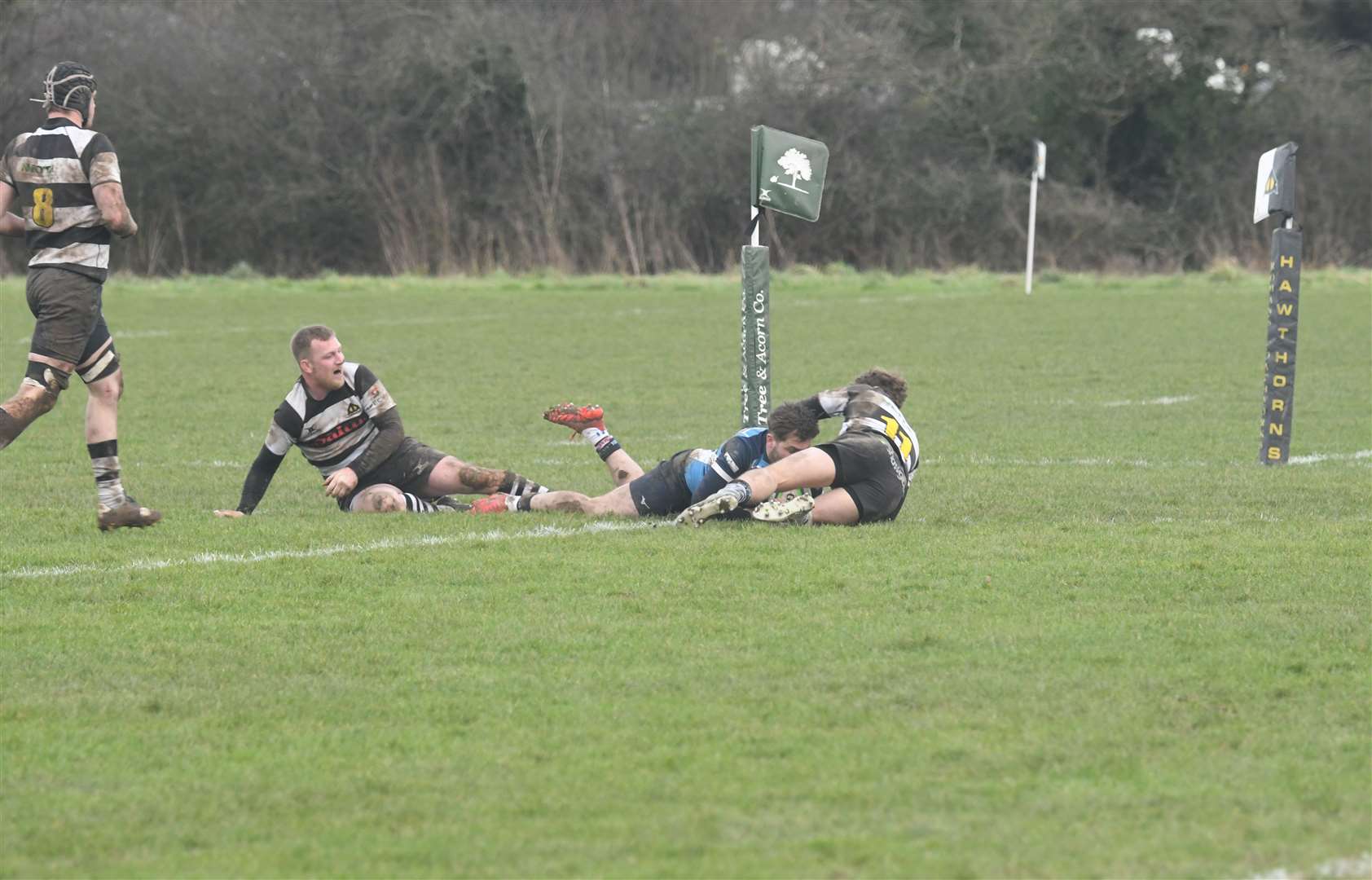 Newbury Blues' Jamie Futcher scores - Photo: Peter Branch