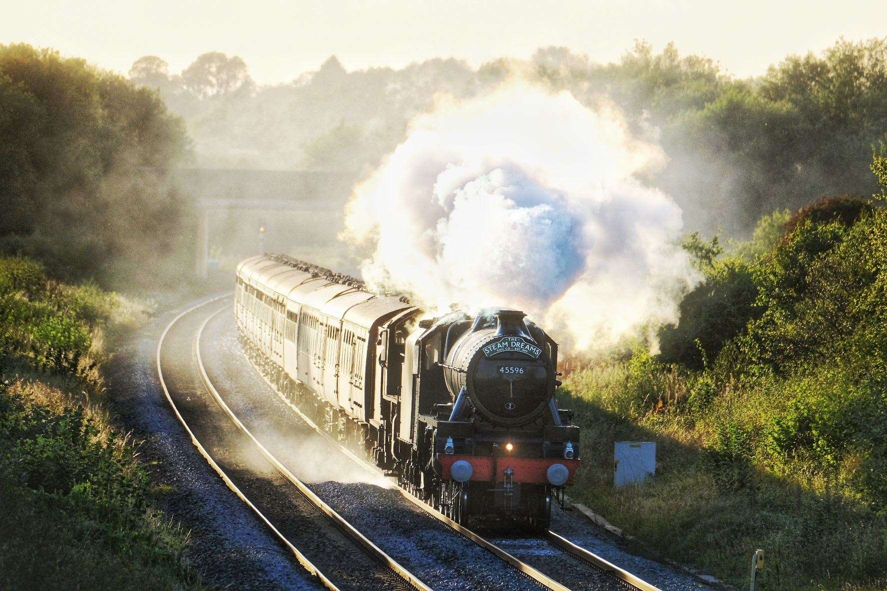 Mayflower passing through Newbury (51817846)