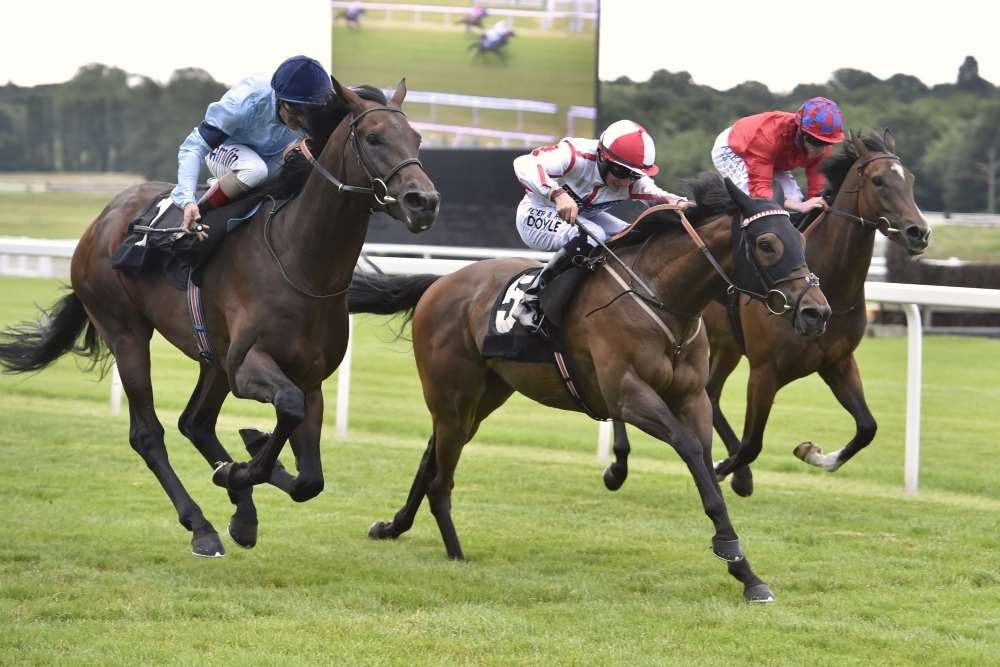Scarlet Dragon (centre) will be going for back-to-back wins at Newbury this Thursday