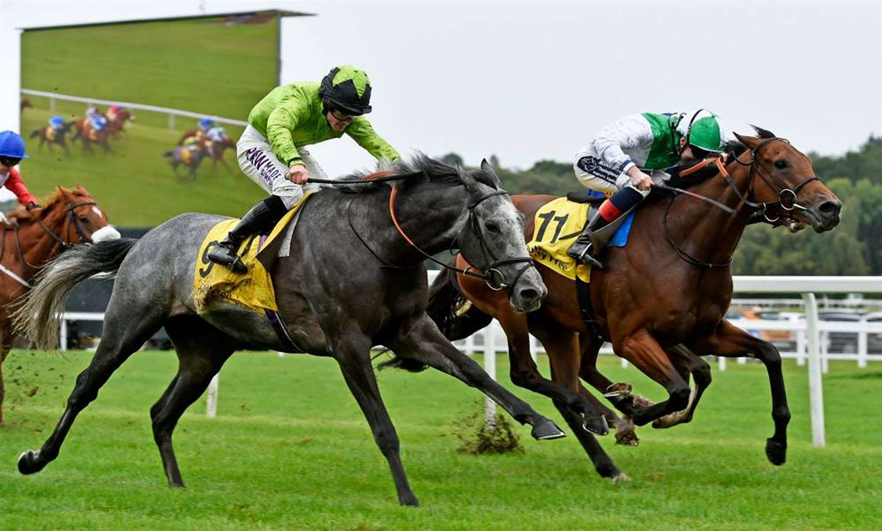 Buzz racing at Newbury Pic: Francesca Altoft Photography
