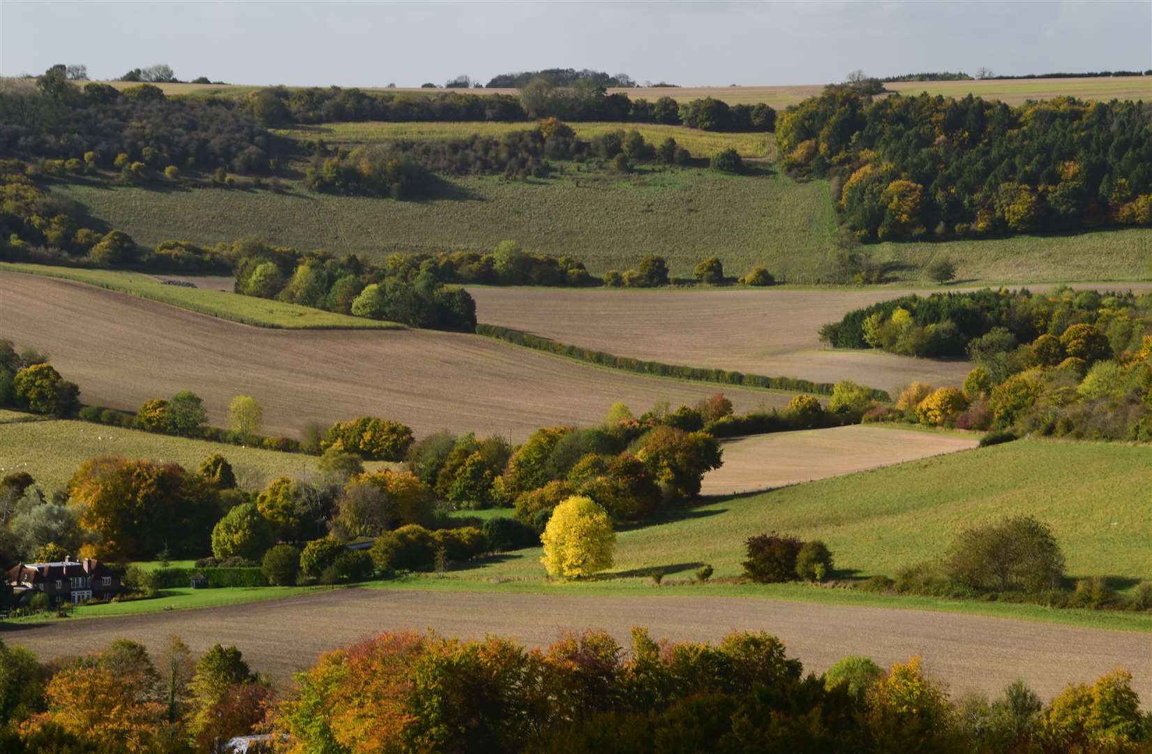 A lovely view from Sugglestone Down to Sheepless Hill above Combe