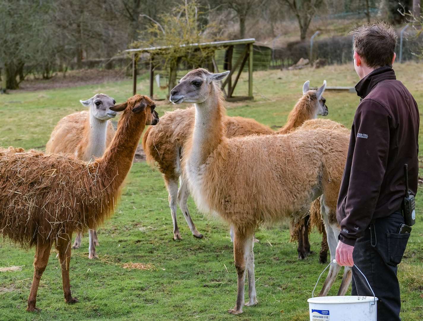 The new additions to the park have been received well by visitors.