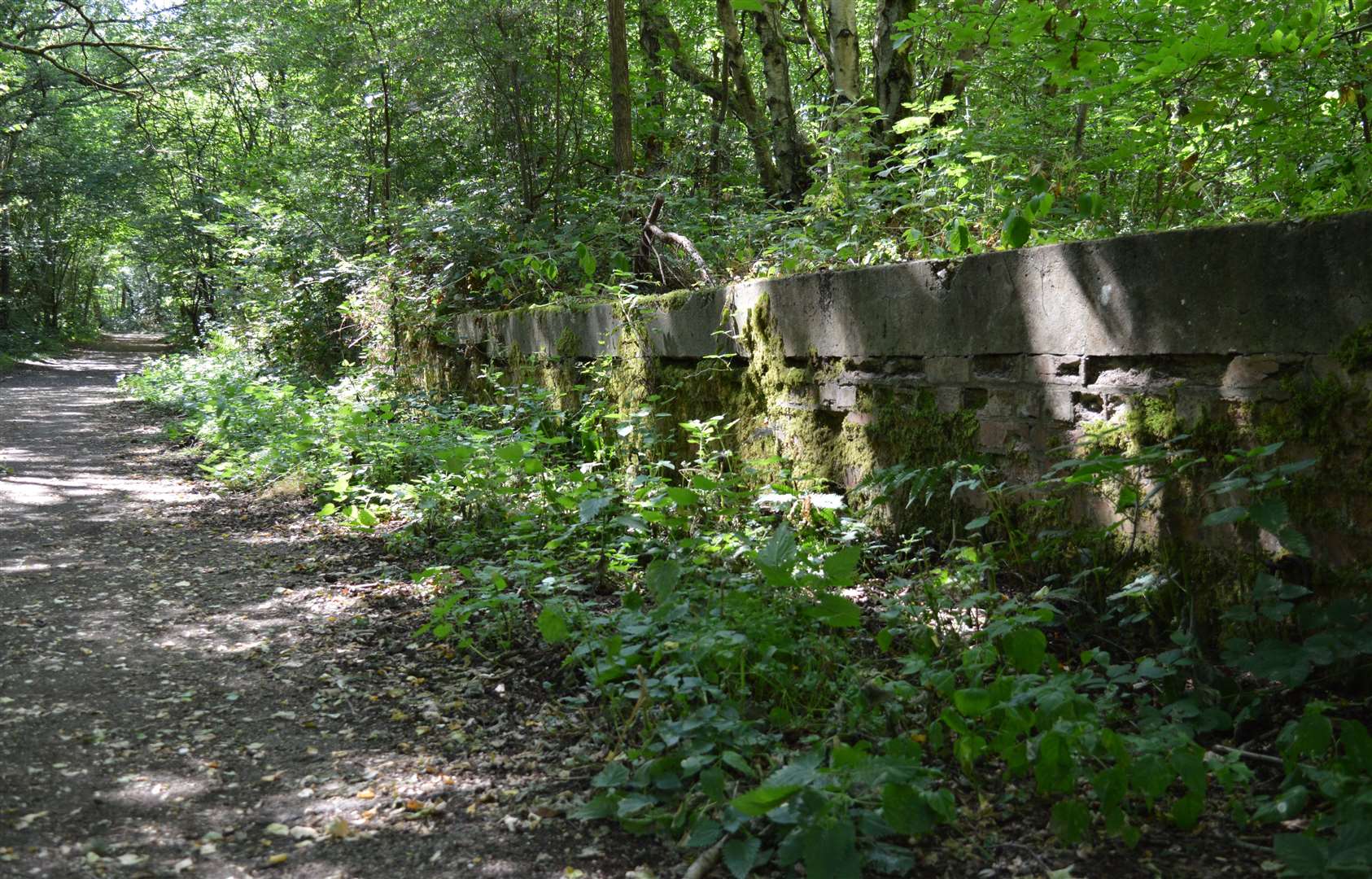 Intact low brick wall with metal ring fittings in Bowdown Woods