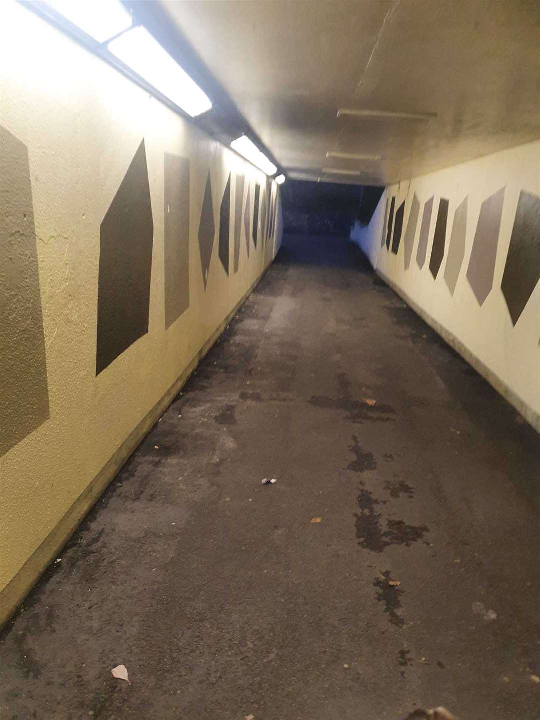 Mobile CCTV could be coming to Newbury underpasses