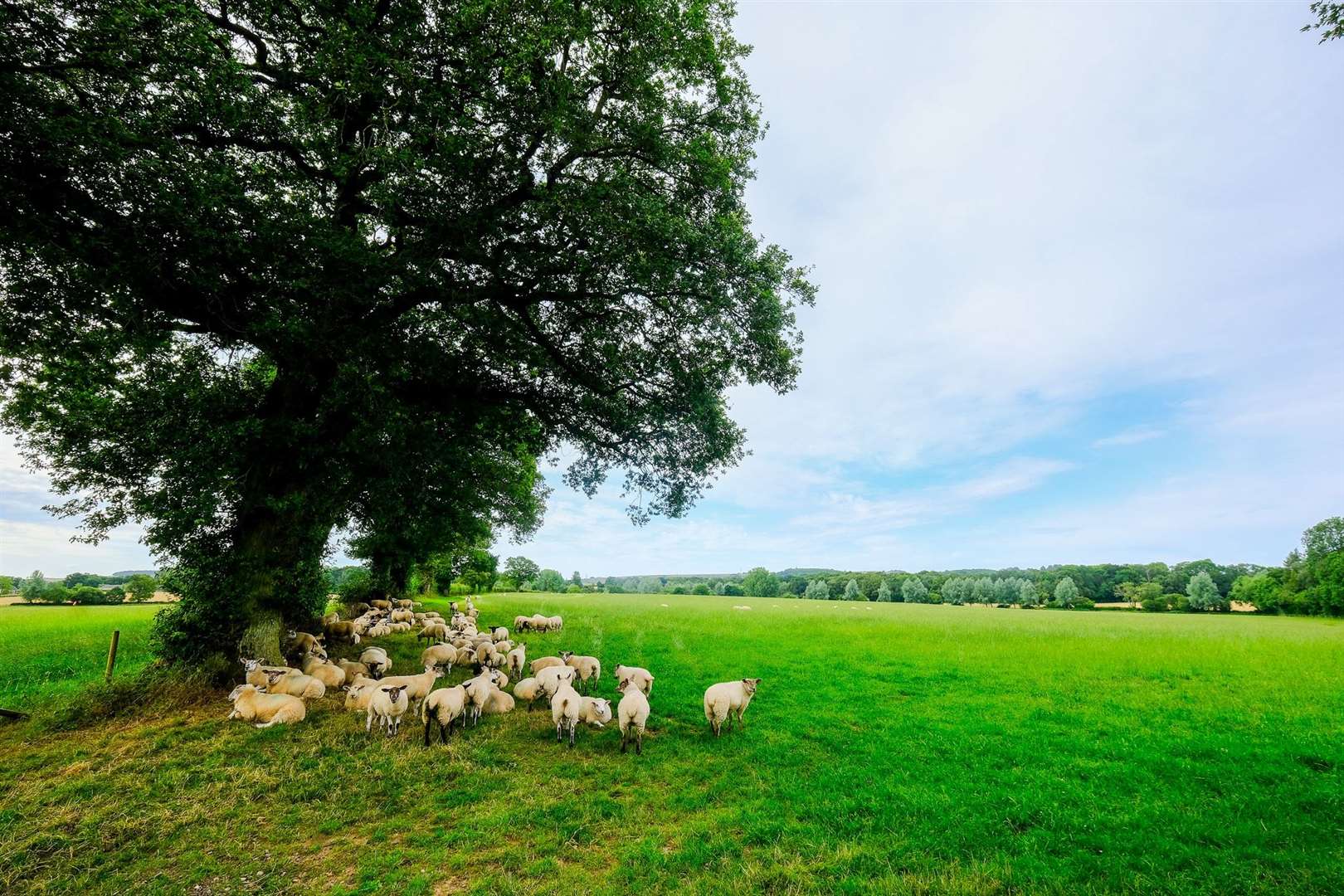 Strattons Farm between Headley and Kingsclere
