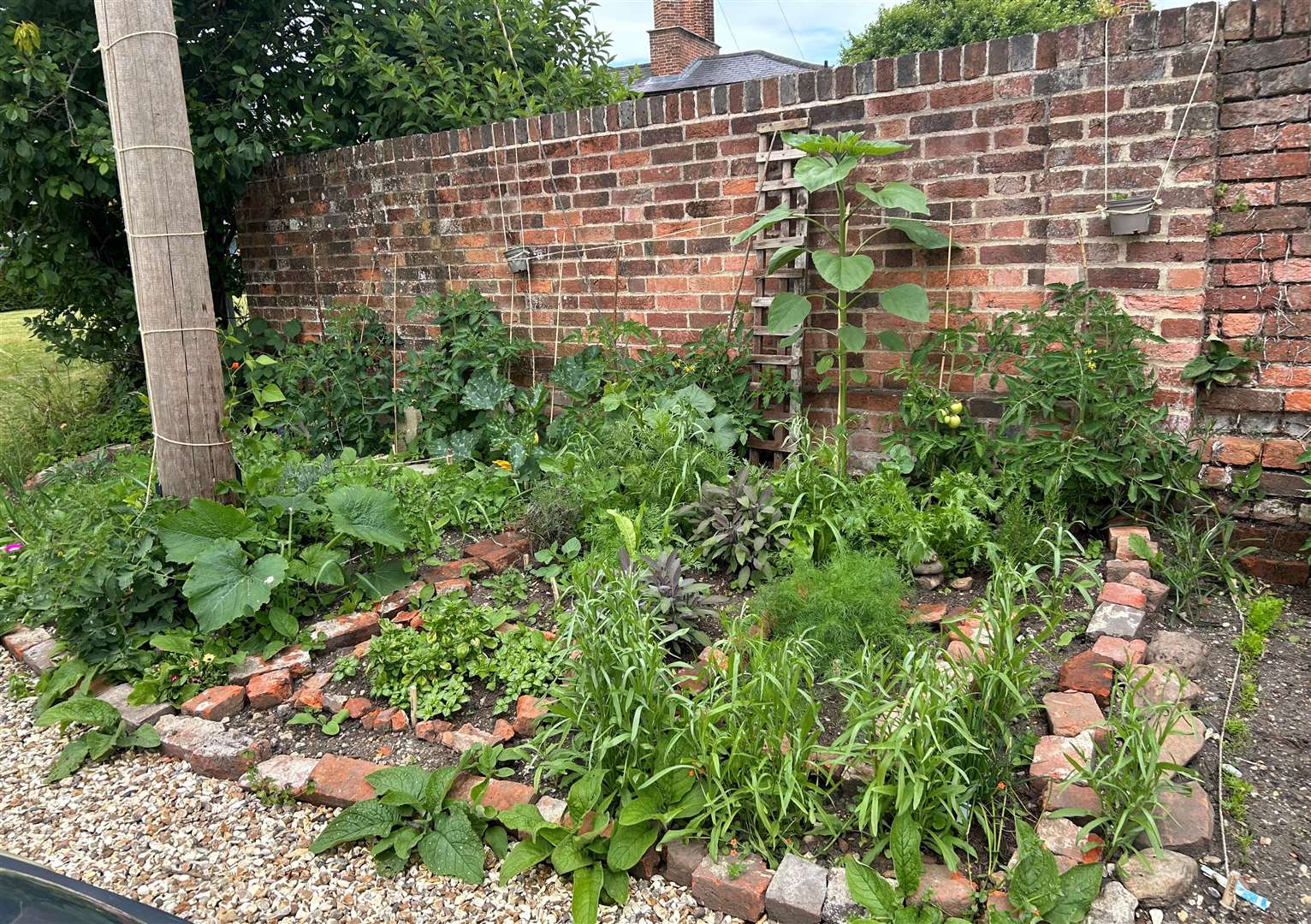 The new communal garden at Upper Raymond’s Almshouses in Newbury