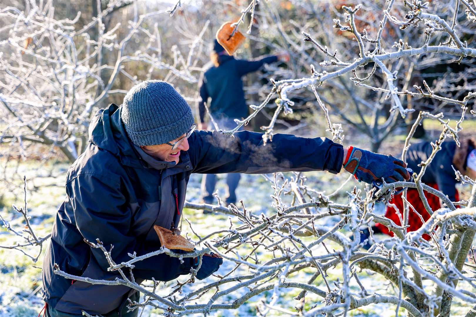 Wassail at the City Recreation Ground orchard in Newbury on January 11