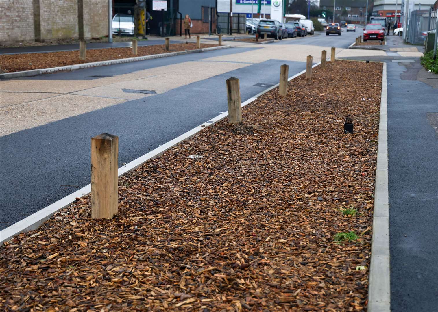 Rain garden on Faraday Road