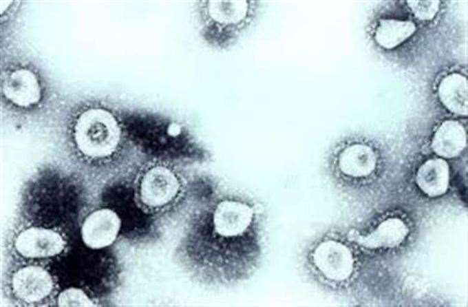 Coronavirus cases are falling in Berkshire