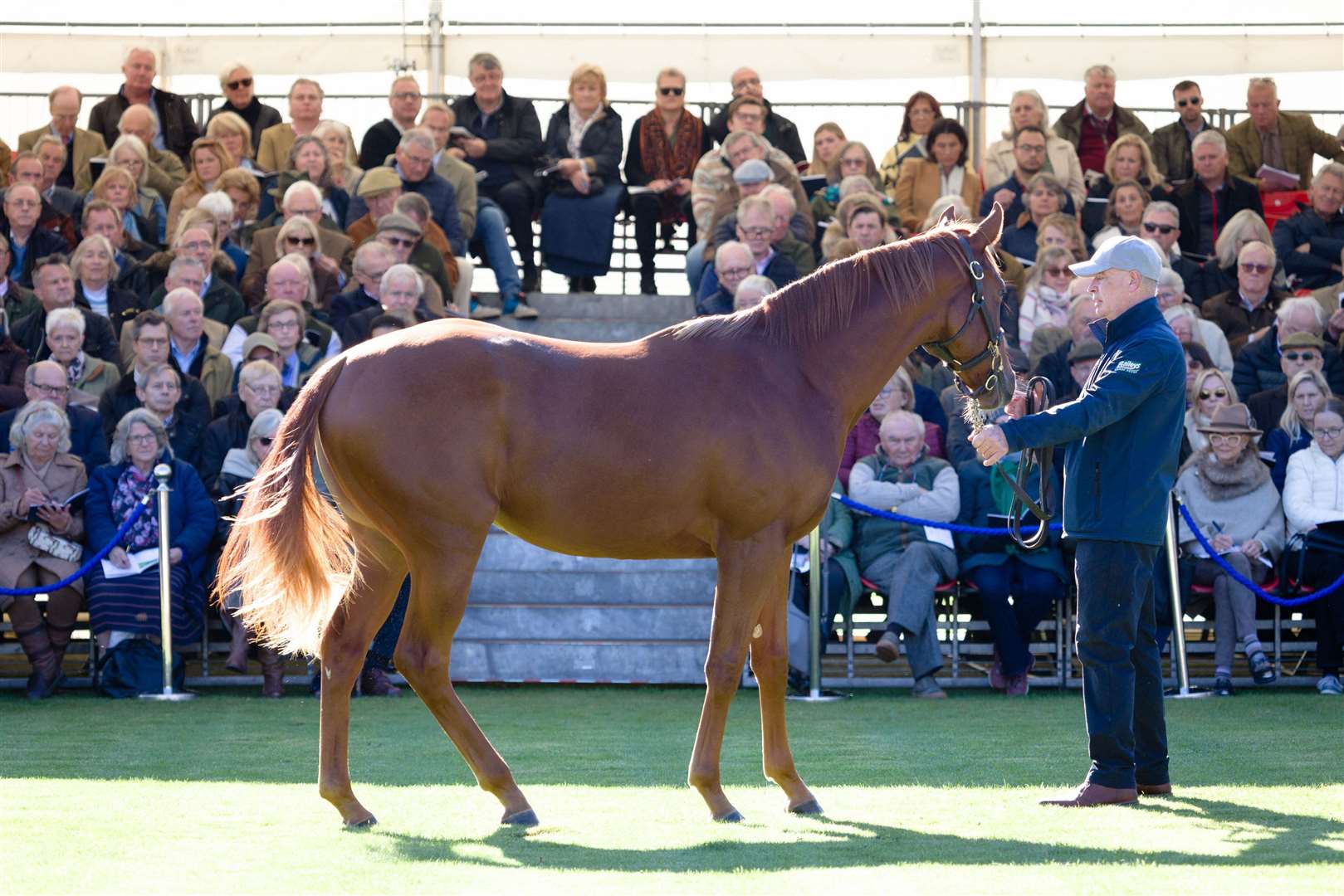Investors and owners inspect another of the stunning yearlings