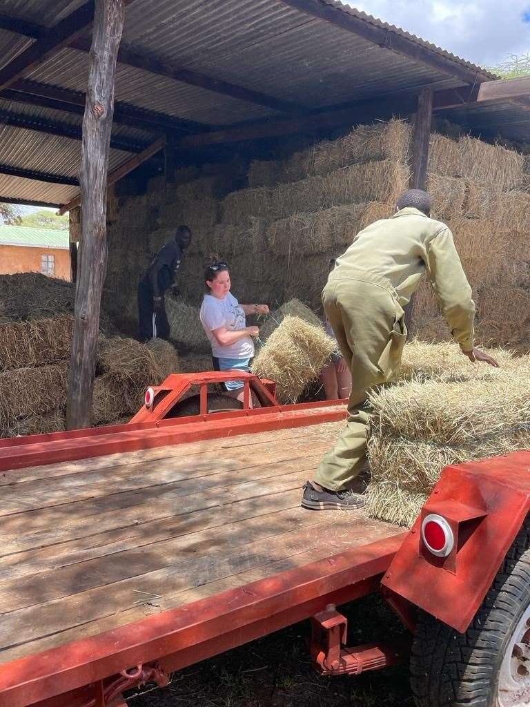 Handling small bales in the heat is hard work but provides jobs for locals