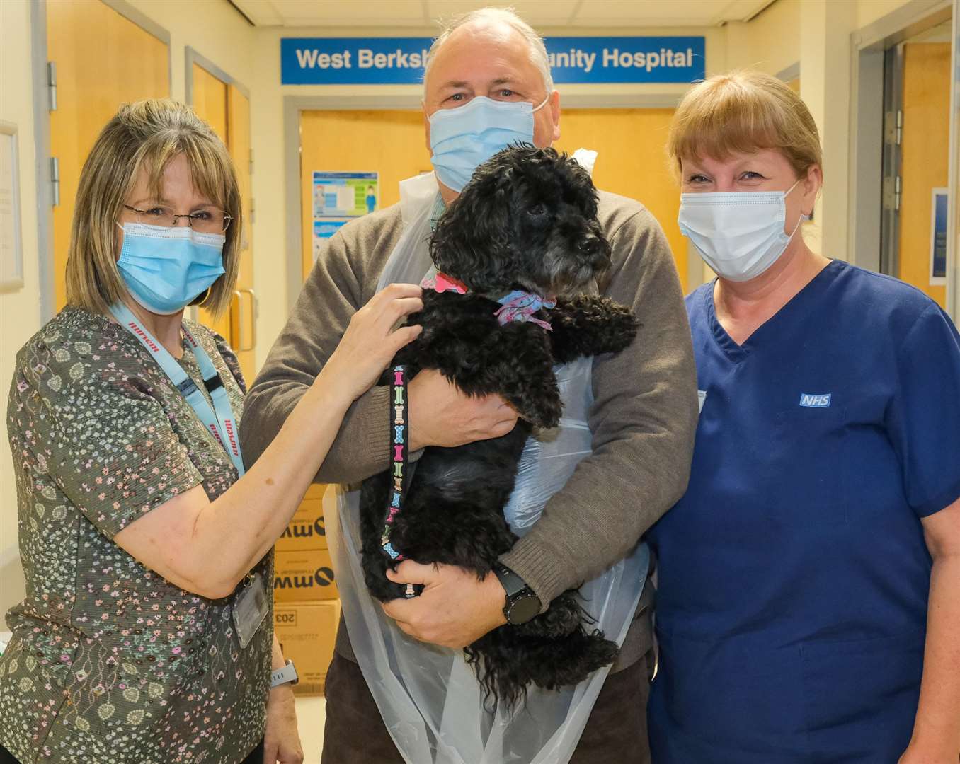Bella the therapy dog visits West Berkshire Community Hospital .Diane Wood - care coordinator, Barry Hopperton and In-patient Services Manager Eileen Henderson Ref: 05-0122