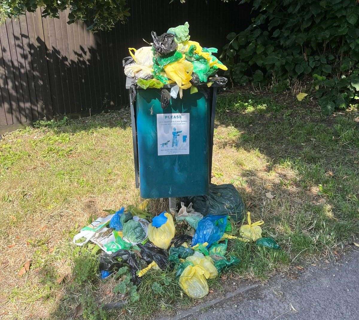 Overflowing dog waste bin in Thackery Lane, Thatcham