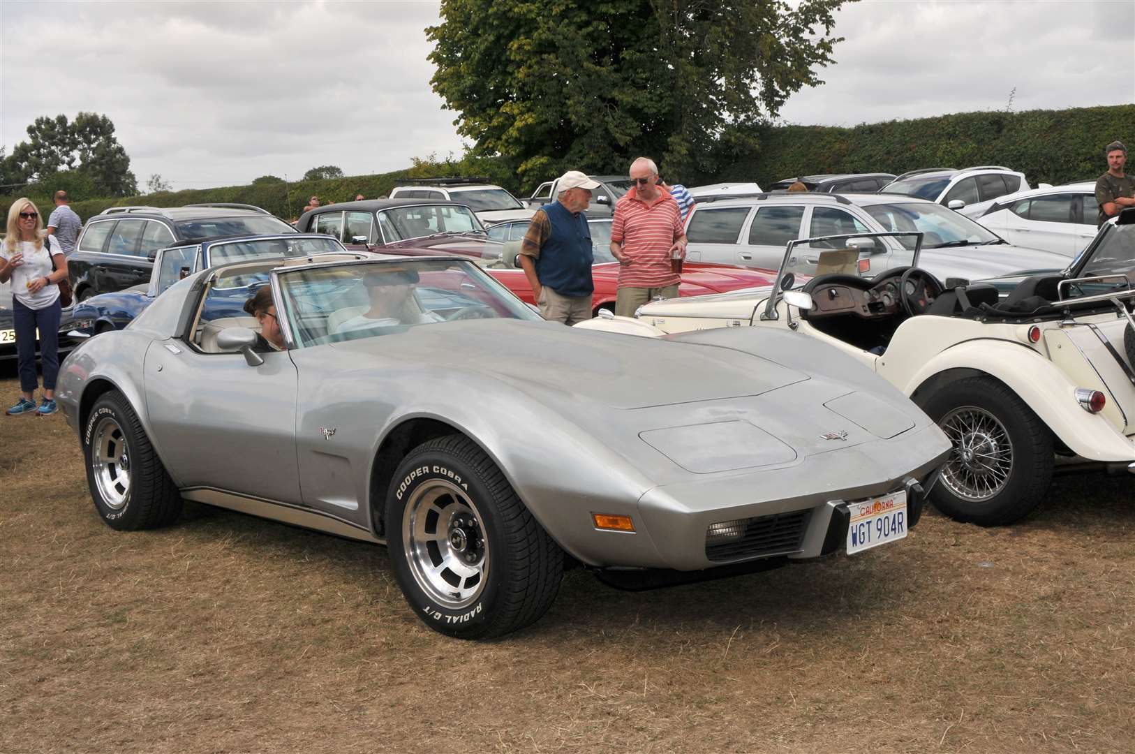 Corvette, picture Geoff Fletcher