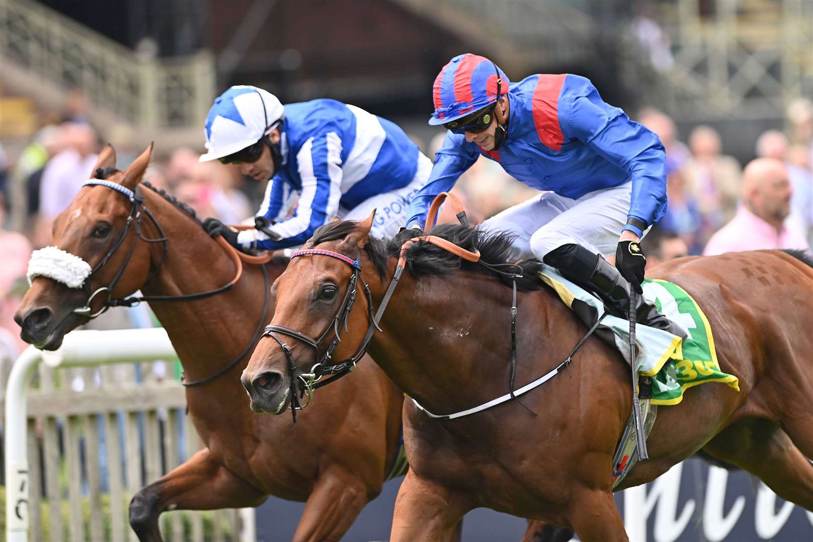 Foxes Tale (far side) competes in Dubai. Picture by Hugh Routledge