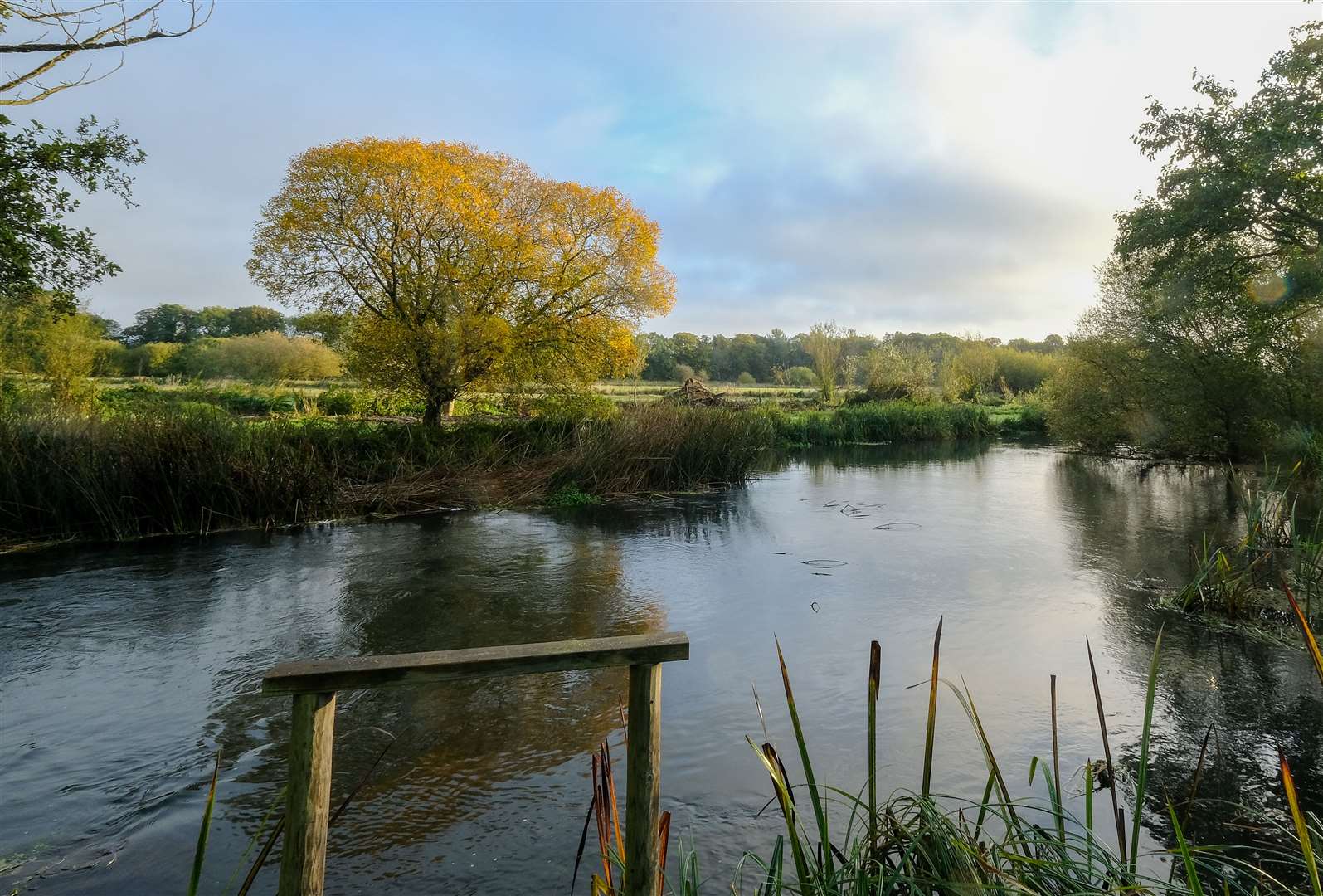 River Kennet at Barton Court