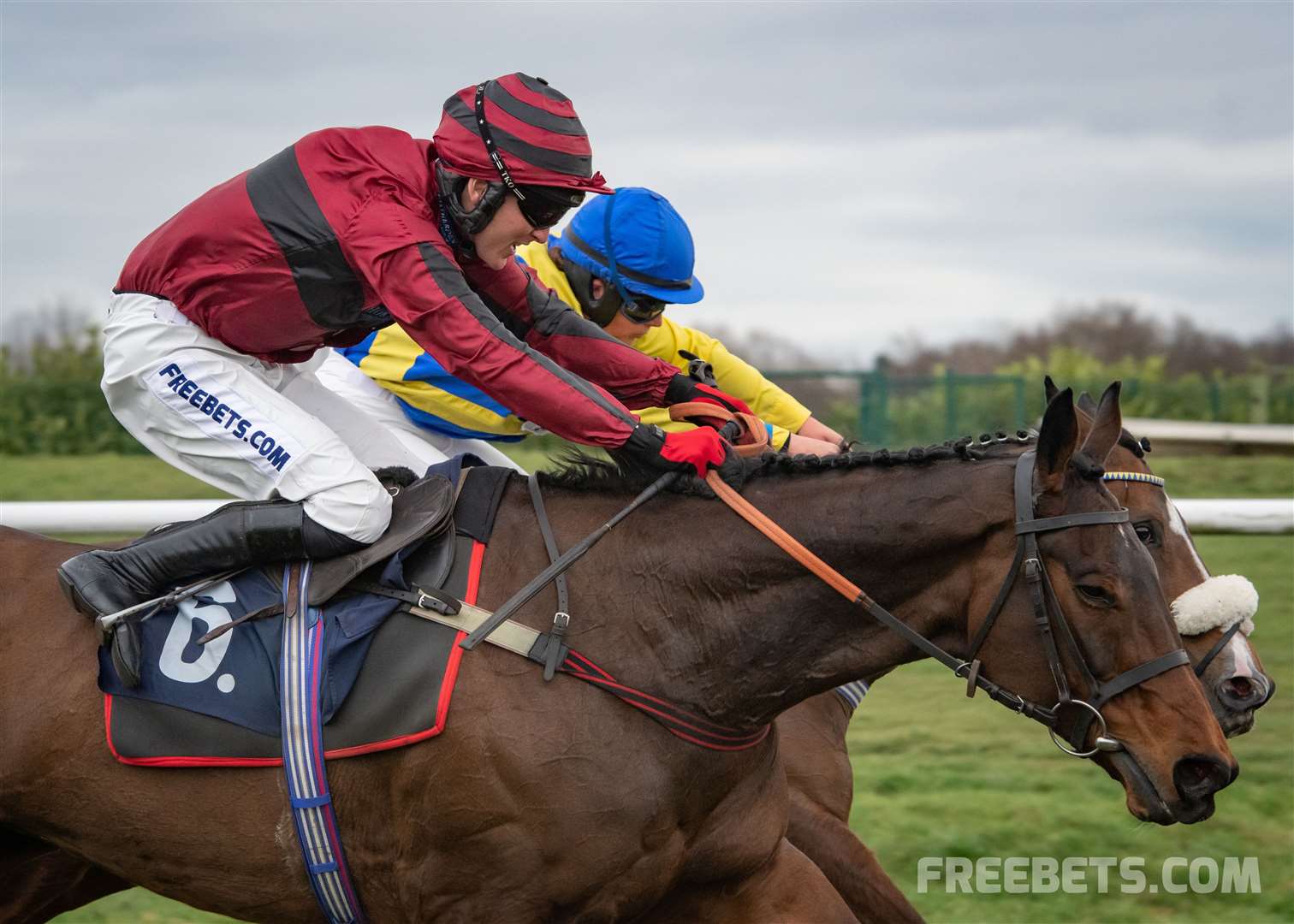 Bellamy in action. Pictures by Nigel Kirby Photography