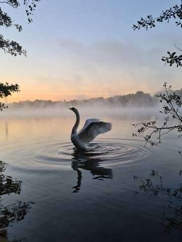 ‘My Wild Life’ photography competition over-18s winner Emily Hall