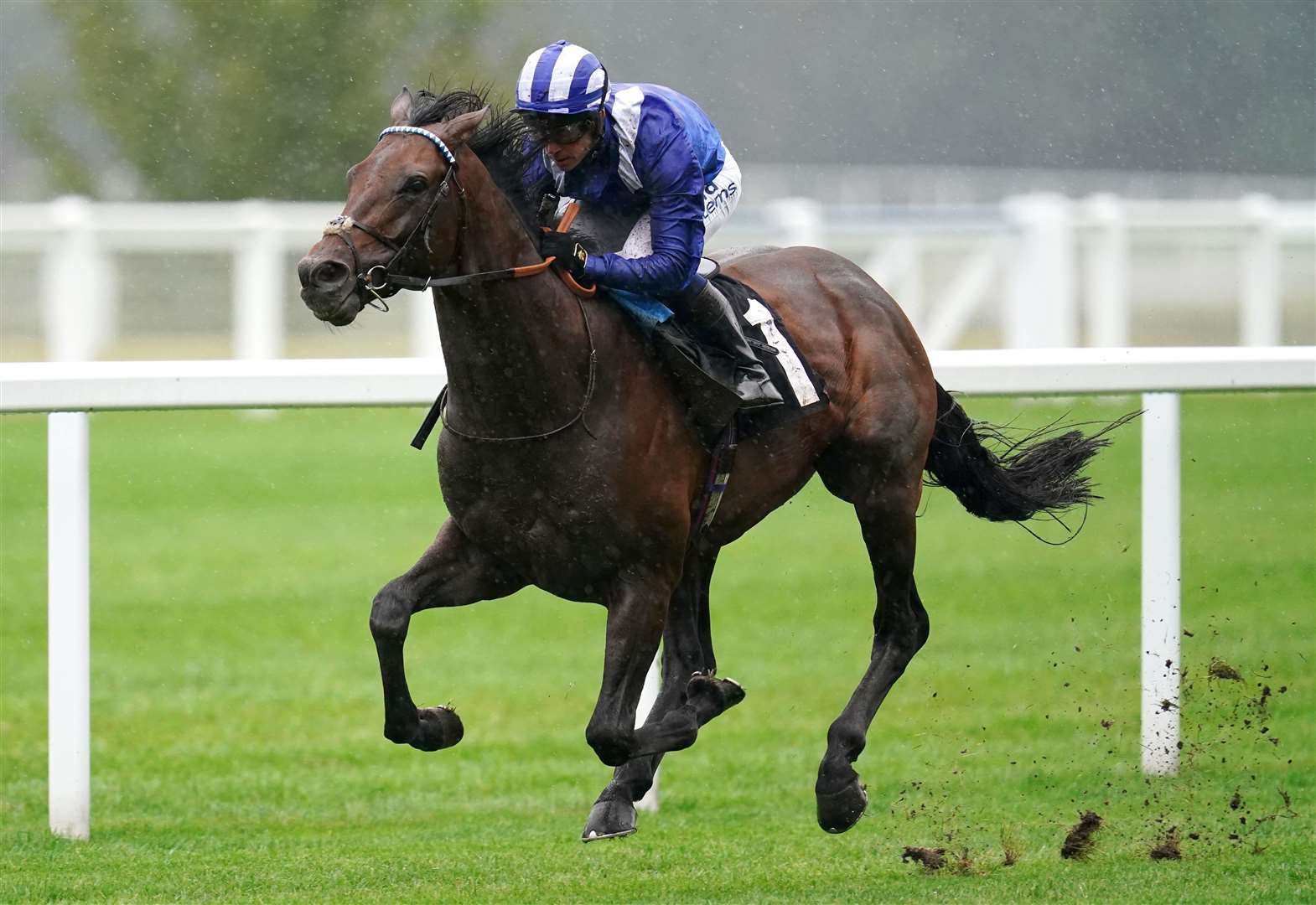 King George champion Hukum is retiring to stud. Picture: PA Images/Alamy