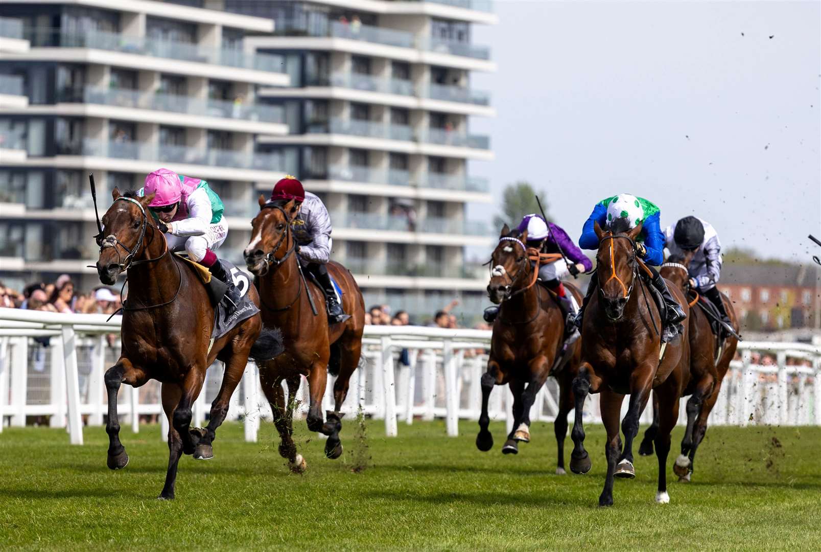 Watership Down Stud Too Darn Hot Greenham Stakes - Jonquil