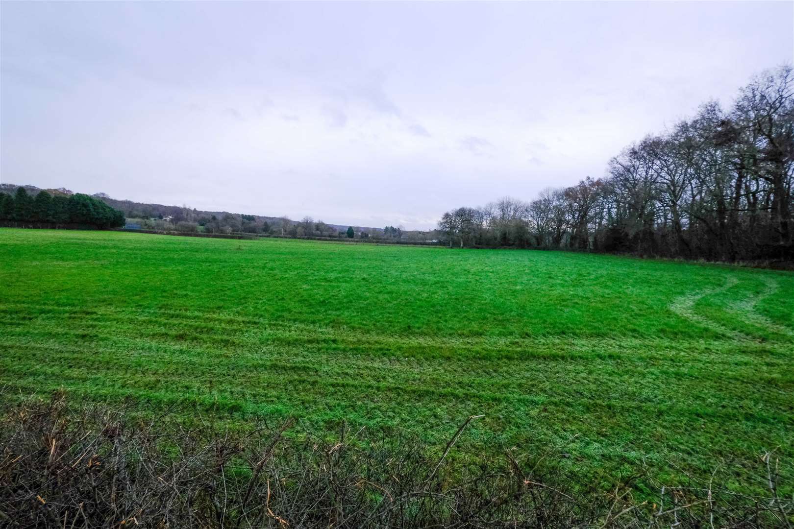 The proposed site in Bishops Green. (50621630)