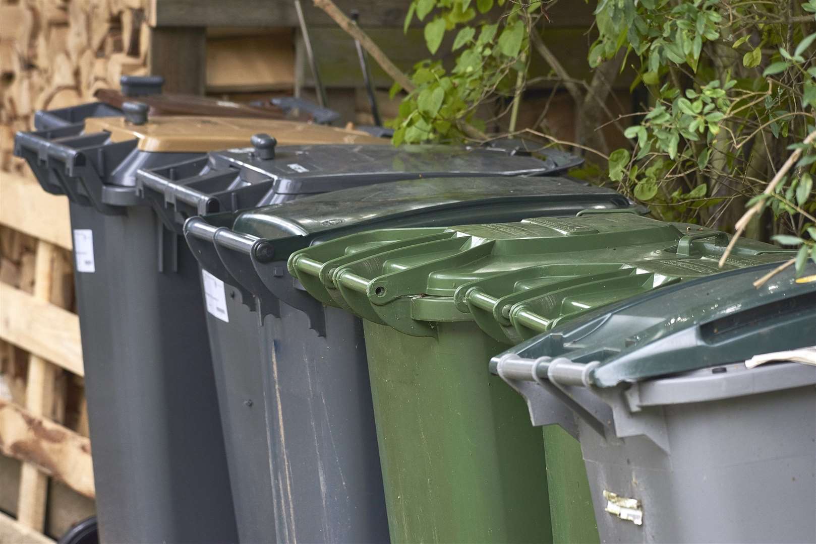 The changes may lead to households needing more recycling bins. Image: iStock.