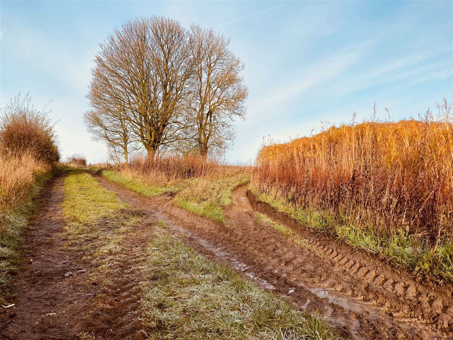 The Ridgeway
