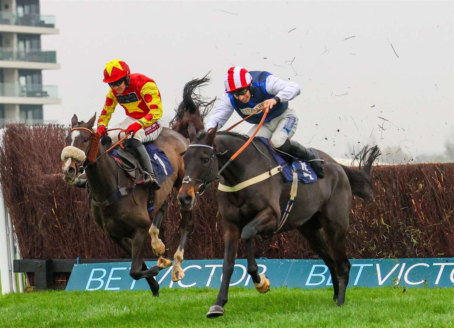 BetVictor's Weekend Winners Novices' Limited Handicap Chase - Bowtogreatness