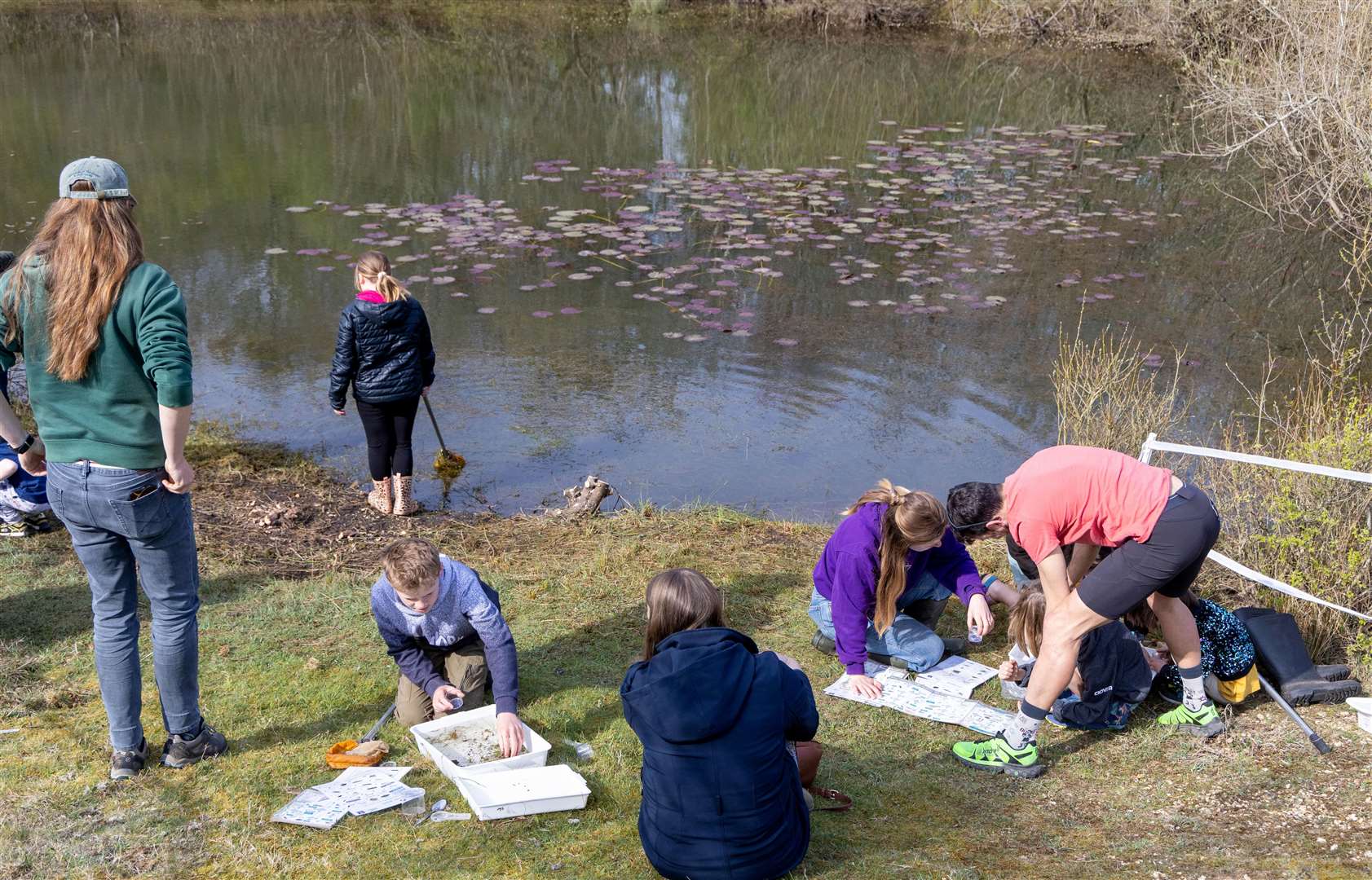 BBOWT volunteers support little ones with pond dipping