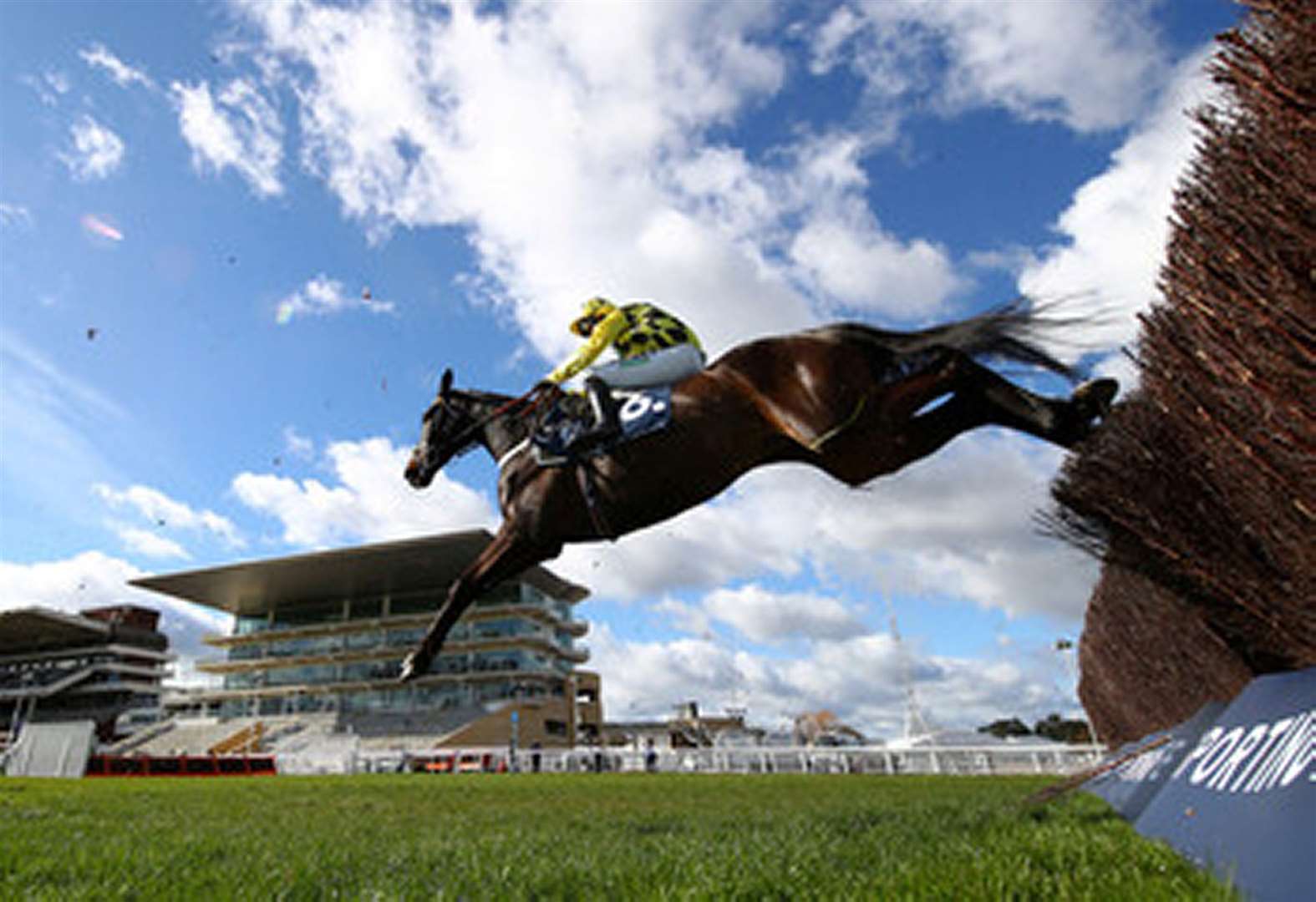 Shishkin ruled out of Tingle Creek at Sandown as Nicky Henderson delays