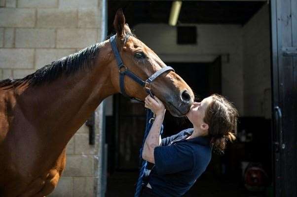 National Racehorse week begins today (59178841)