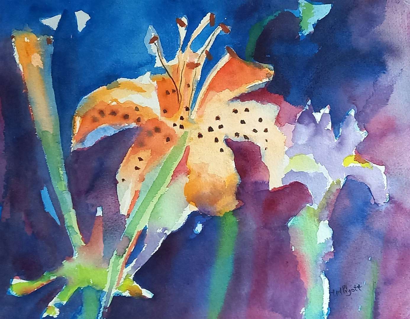 Flower Power, watercolour, Isobel Pigott