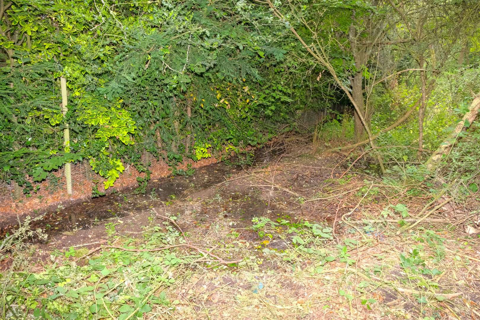 Water leak in Crookham Common. (58109757)
