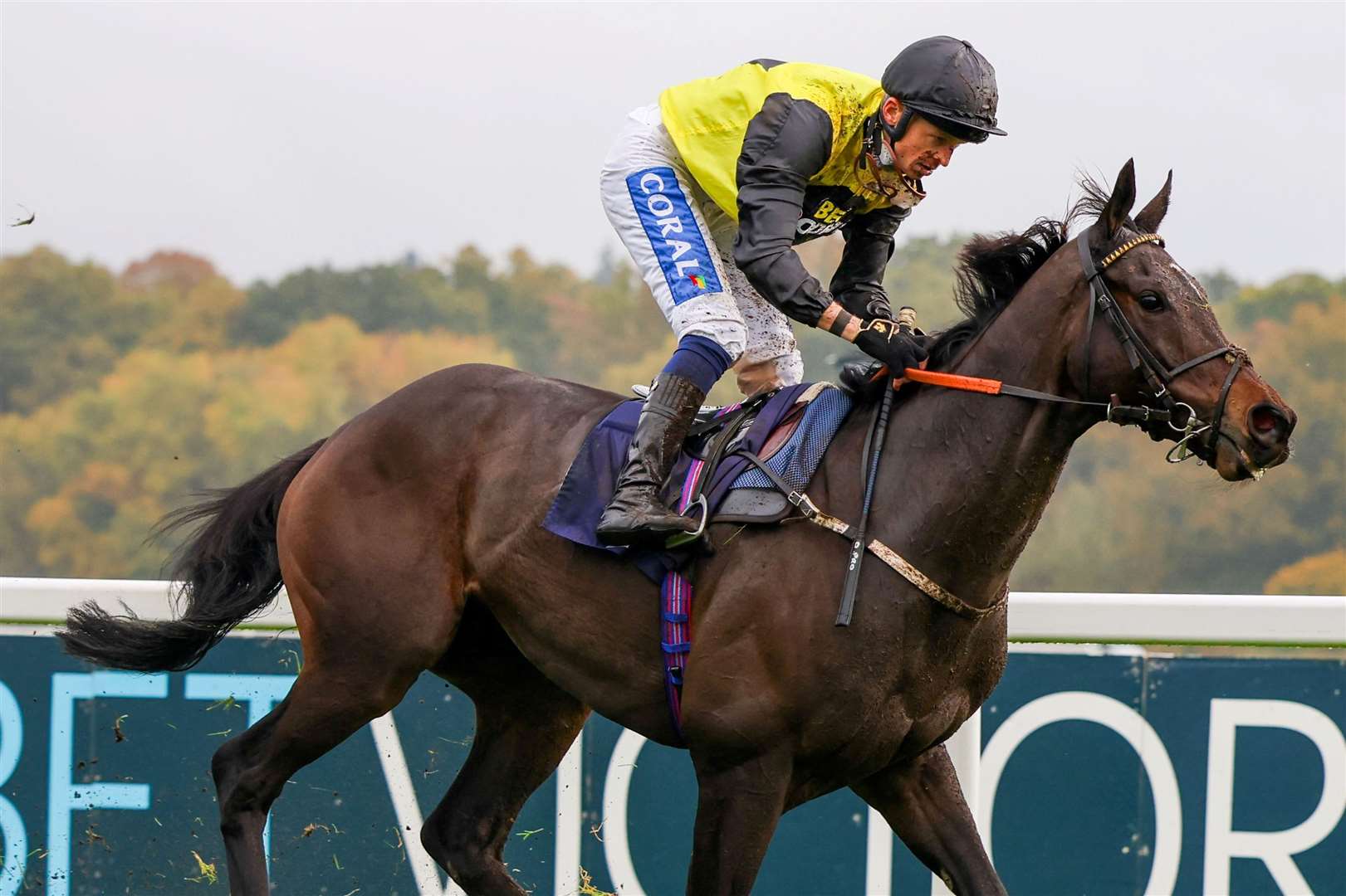 The Flat season concludes at Newbury