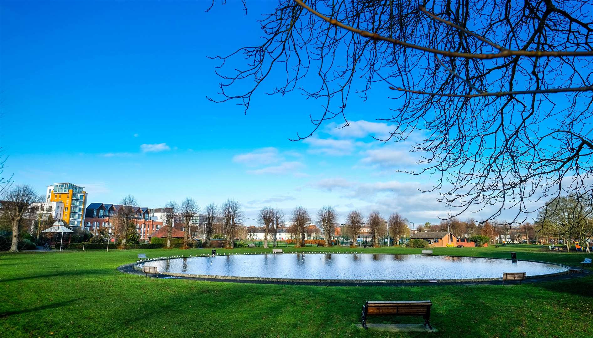 Join the protest at Victoria Park this Sunday