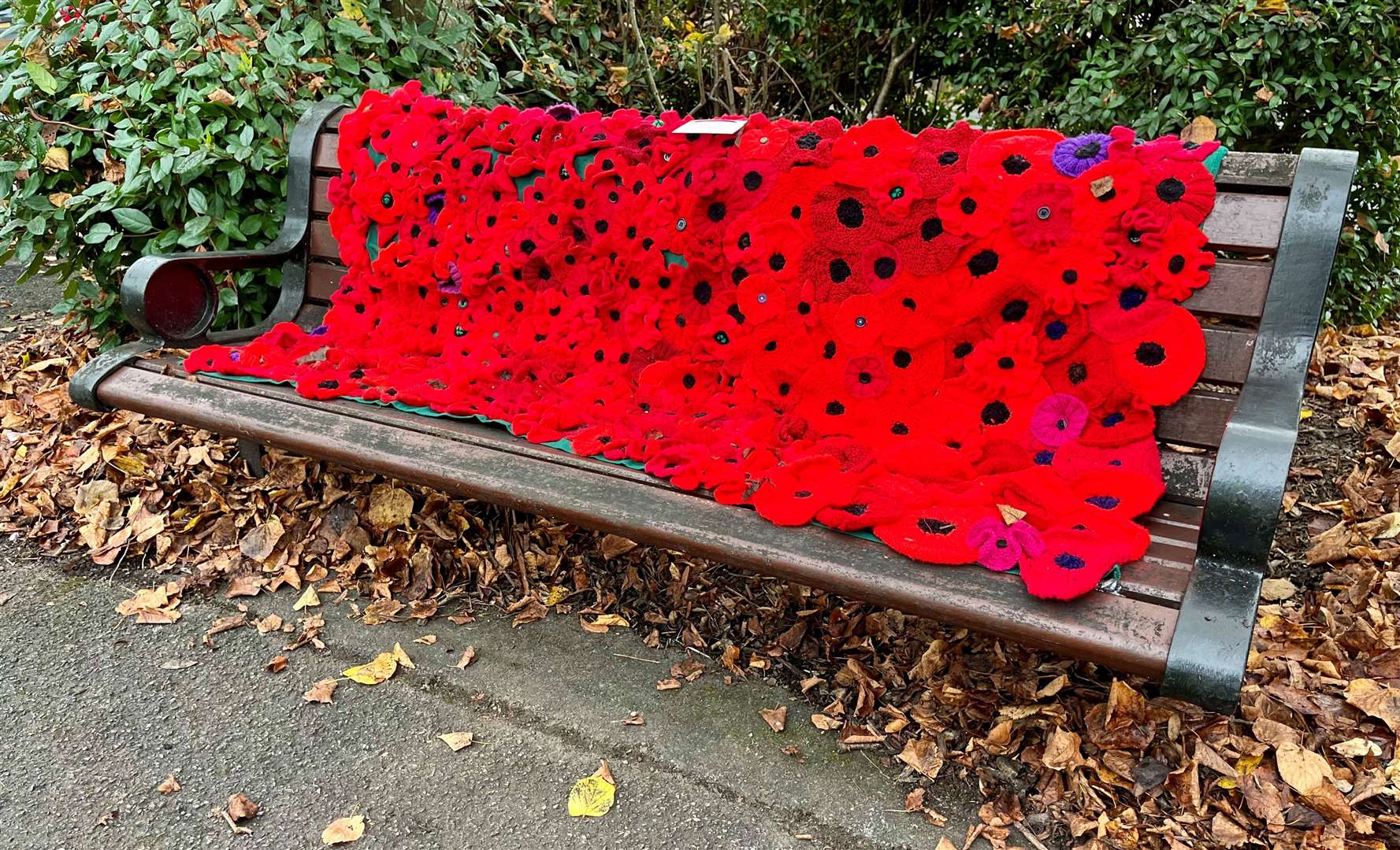 A poppy bench created by Thatcham WI
