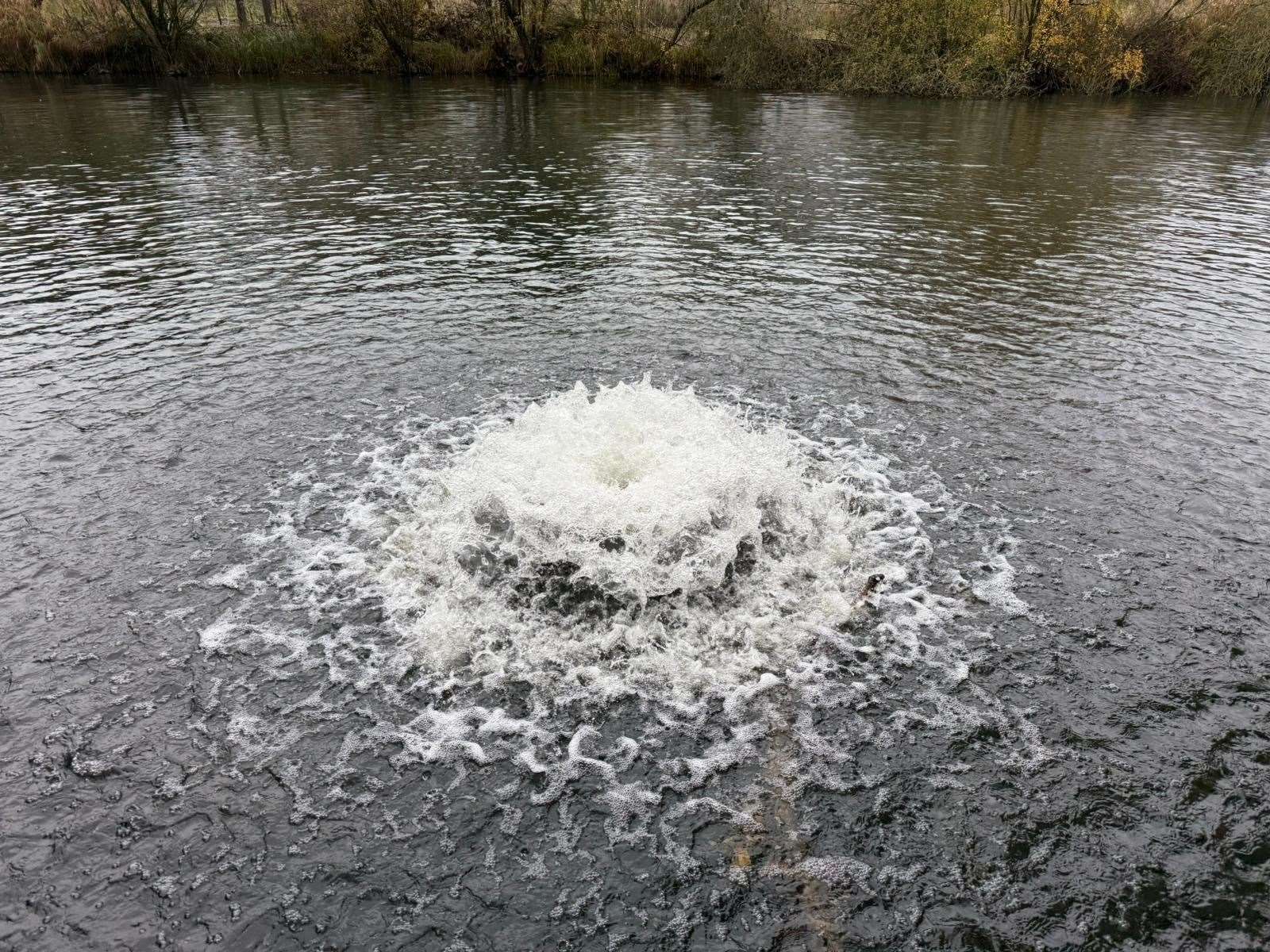 Efforts have been made in recent weeks to oxygenate NAA's lakes