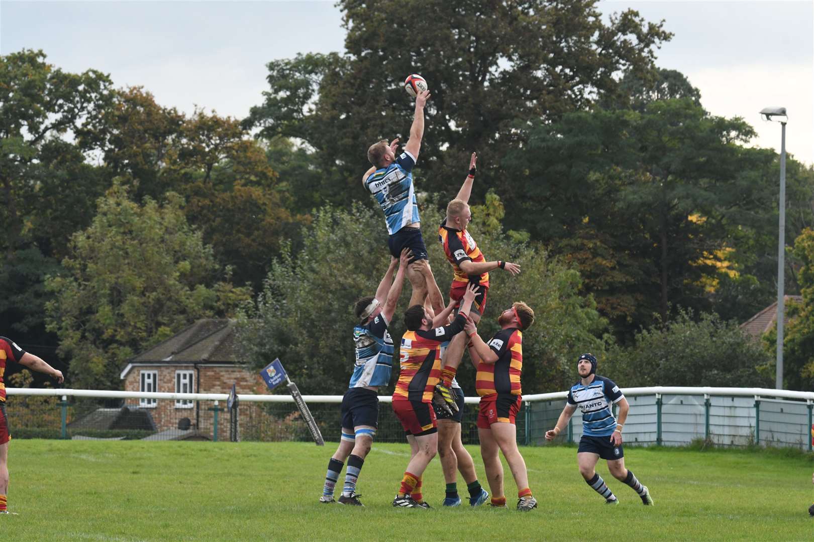 Rory Jones soars as Newbury Blues face Chobham - Photo: Peter Branch