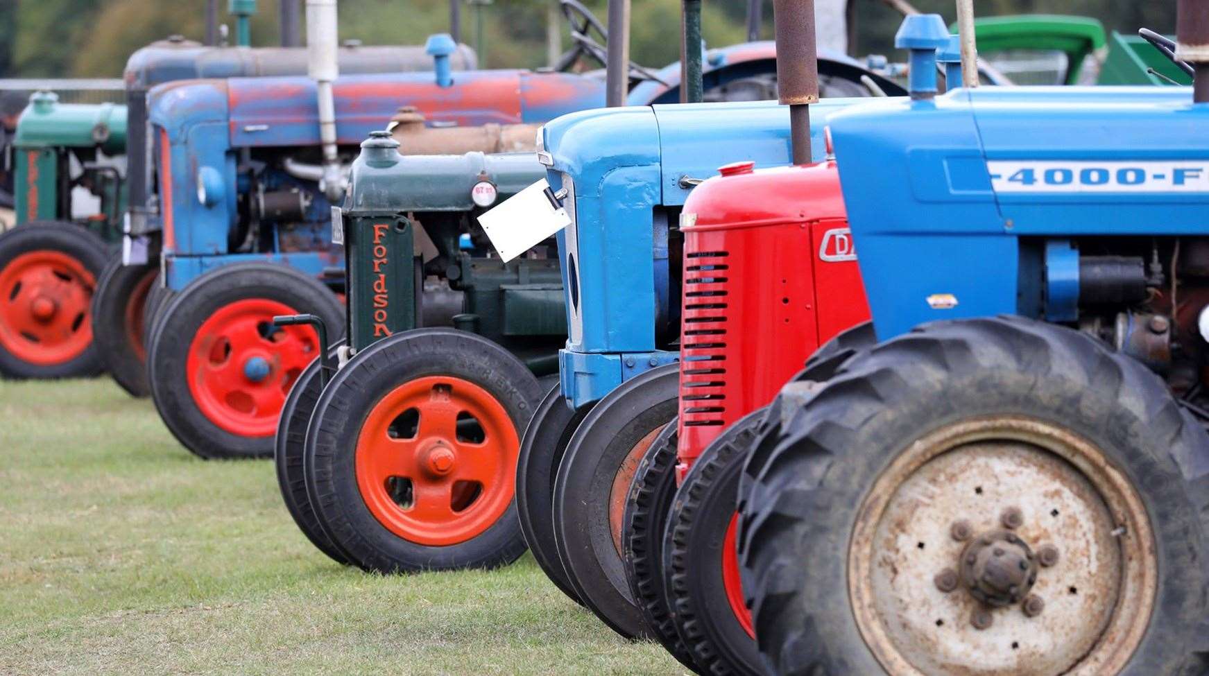 Nebwury Show, picture: Newbury & District Agricultural Society