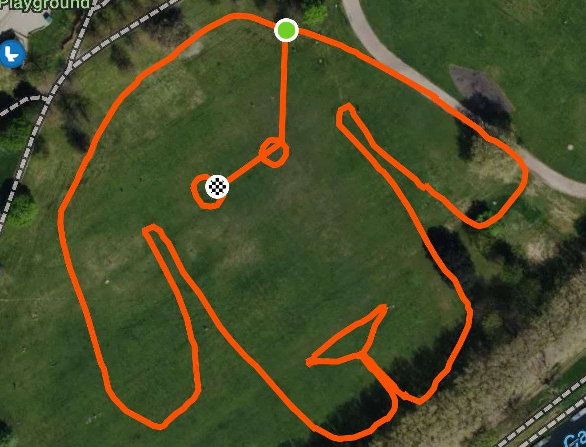 The first-ever all-canine relay race was on a course designed in the shape of a dog’s face