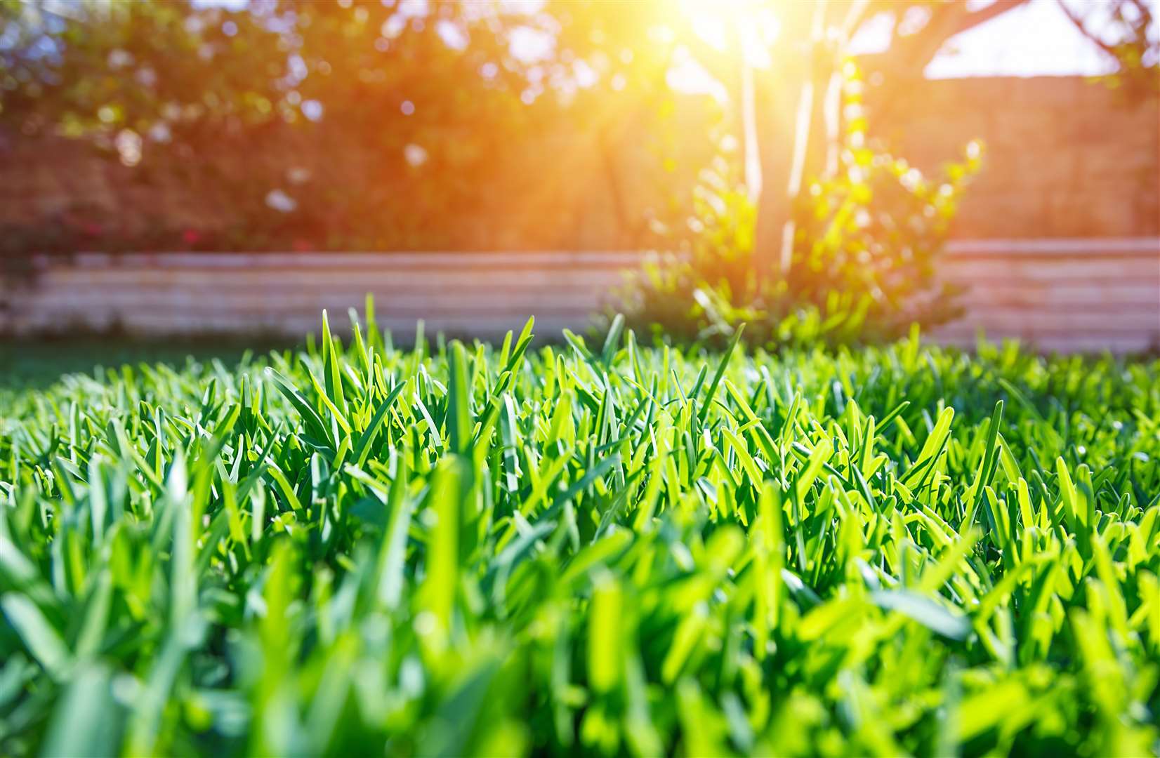 Sunny weather is going to mix with a peak in grass pollen levels. Photo: iStock.