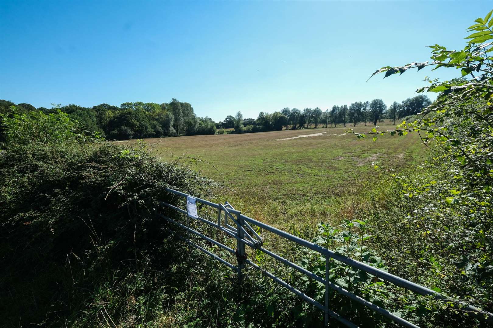 The proposed site in Ashford Hill.