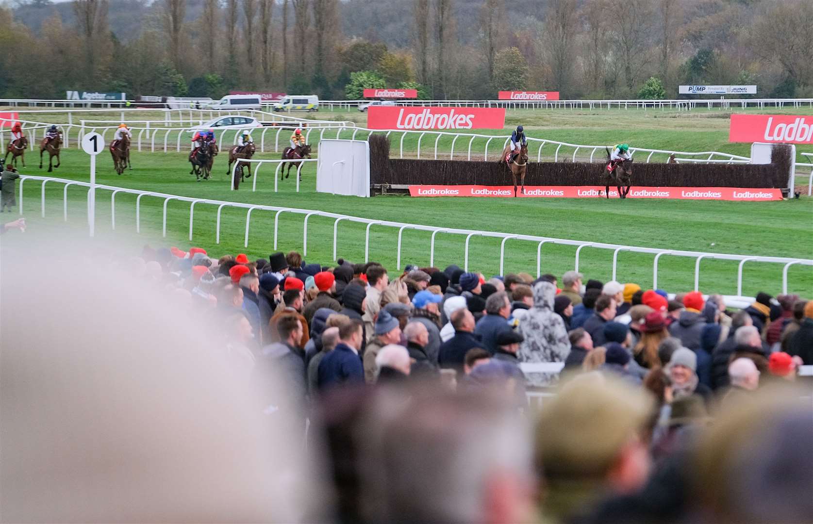 Ladbrokes winter carnival at Newbury Racecourse .Winner of the Ladbrokes Trophy Chase Cloudy Glen.Ref:48-1021. (53361828)