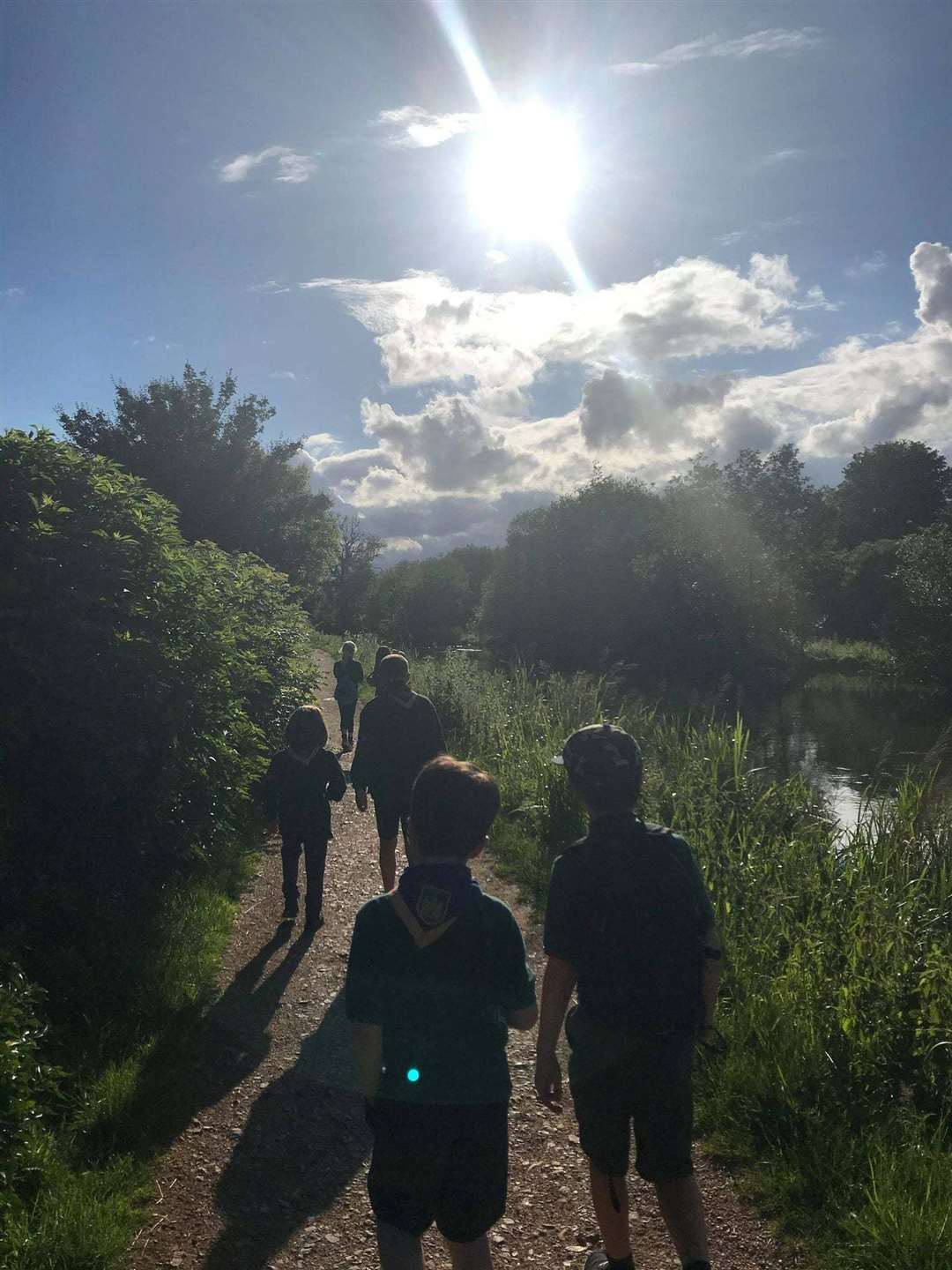 A cub pack on a hike