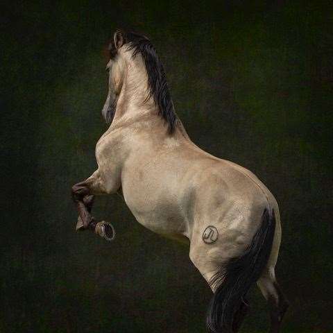 About Turn, Karen Bennett