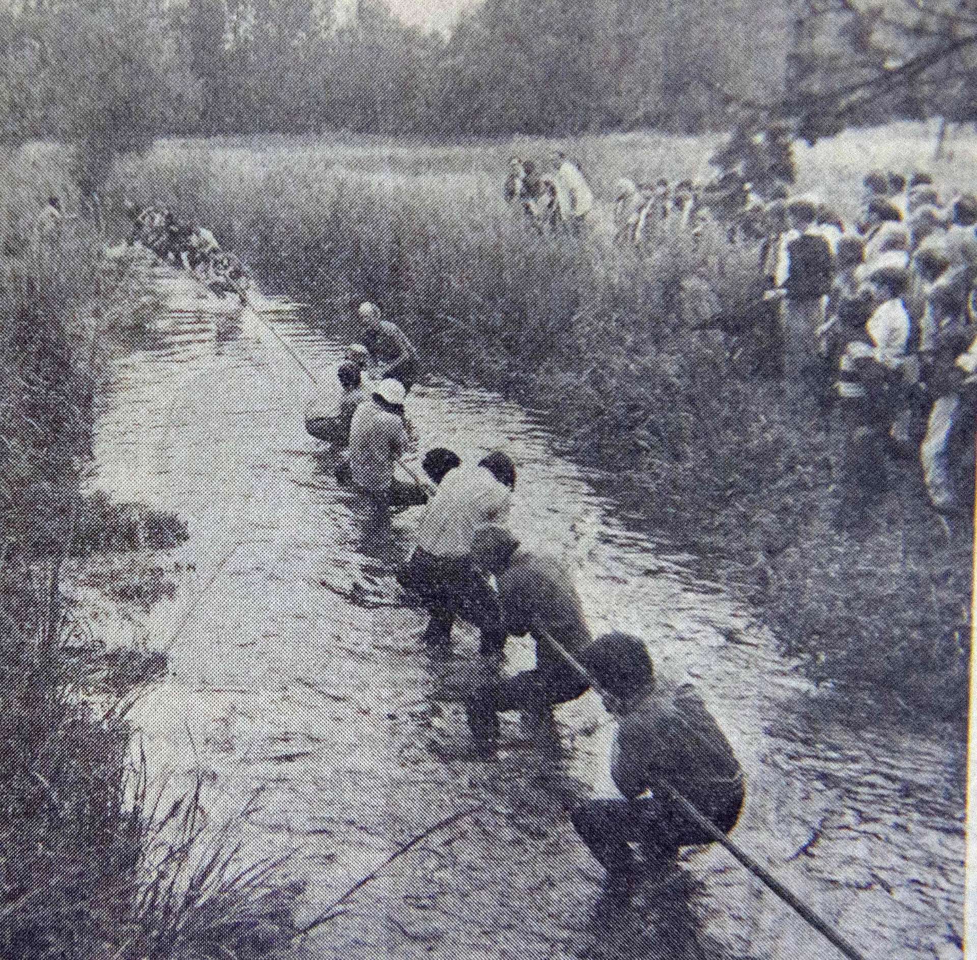 Tug of war in Boxford, 1969